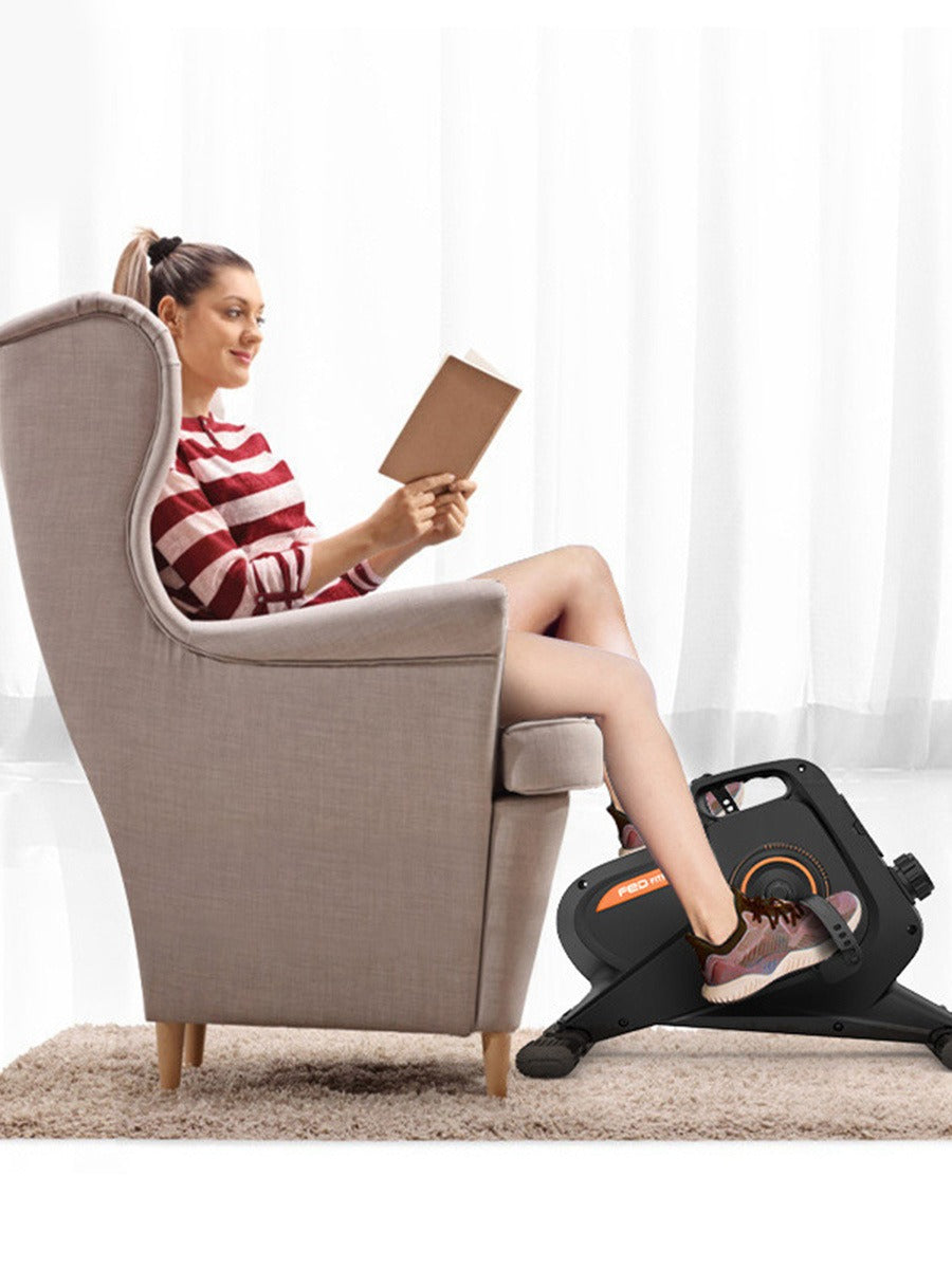 FED Mini Magnetic Fitness Bike