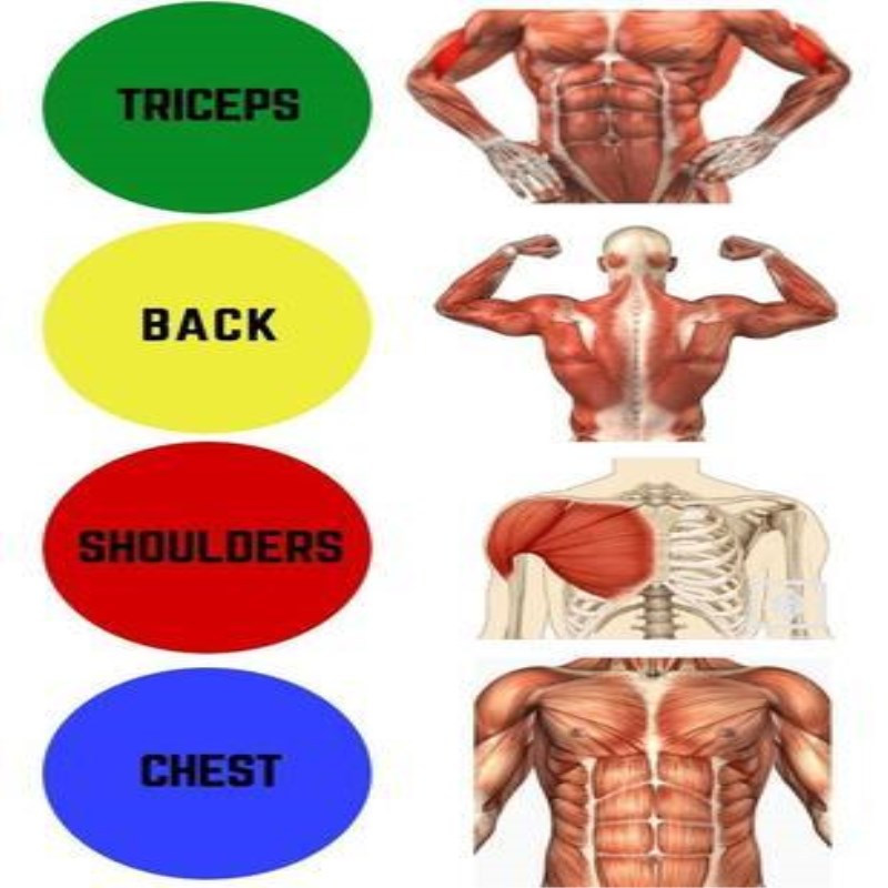 FGHGF Push Up Board – Color‑Coded Fitness System